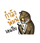Cat's typed（個別スタンプ：15）