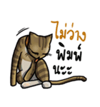 Cat's typed（個別スタンプ：16）