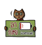 Cat's typed（個別スタンプ：17）