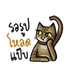 Cat's typed（個別スタンプ：21）