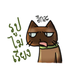 Cat's typed（個別スタンプ：23）