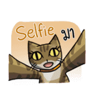 Cat's typed（個別スタンプ：24）