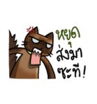Cat's typed（個別スタンプ：26）