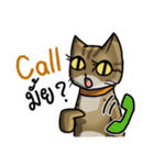 Cat's typed（個別スタンプ：27）