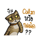 Cat's typed（個別スタンプ：28）