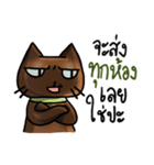 Cat's typed（個別スタンプ：31）