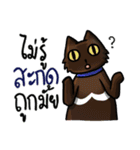 Cat's typed（個別スタンプ：33）
