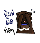 Cat's typed（個別スタンプ：34）