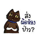 Cat's typed（個別スタンプ：38）