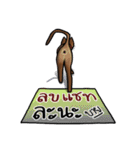 Cat's typed（個別スタンプ：40）