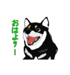 黒柴くんでーす（個別スタンプ：14）