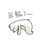 Kung Fu Polar Bear（個別スタンプ：31）