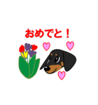 ミニチュアダックス RIKU（個別スタンプ：6）
