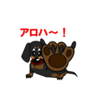 ミニチュアダックス RIKU（個別スタンプ：8）