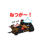 ミニチュアダックス RIKU（個別スタンプ：12）