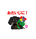 ミニチュアダックス RIKU（個別スタンプ：13）
