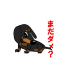 ミニチュアダックス RIKU（個別スタンプ：20）