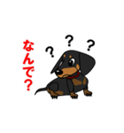 ミニチュアダックス RIKU（個別スタンプ：25）