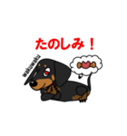 ミニチュアダックス RIKU（個別スタンプ：27）
