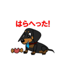 ミニチュアダックス RIKU（個別スタンプ：29）