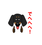 ミニチュアダックス RIKU（個別スタンプ：31）