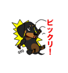 ミニチュアダックス RIKU（個別スタンプ：37）