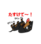 ミニチュアダックス RIKU（個別スタンプ：39）