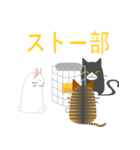 もちっとゆるネコ（個別スタンプ：40）