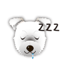 スタンプ犬・シロとクロ（個別スタンプ：11）