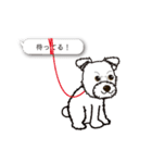 スタンプ犬・シロとクロ（個別スタンプ：29）