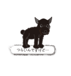 スタンプ犬・シロとクロ（個別スタンプ：33）