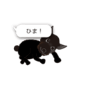 スタンプ犬・シロとクロ（個別スタンプ：35）