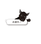 スタンプ犬・シロとクロ（個別スタンプ：37）