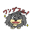 愛犬ラッシュ君のお話しスタンプ（個別スタンプ：1）