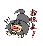 愛犬ラッシュ君のお話しスタンプ（個別スタンプ：2）