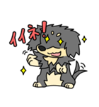 愛犬ラッシュ君のお話しスタンプ（個別スタンプ：6）