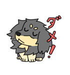 愛犬ラッシュ君のお話しスタンプ（個別スタンプ：7）