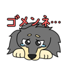 愛犬ラッシュ君のお話しスタンプ（個別スタンプ：11）
