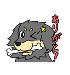 愛犬ラッシュ君のお話しスタンプ（個別スタンプ：15）