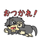 愛犬ラッシュ君のお話しスタンプ（個別スタンプ：17）