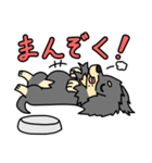 愛犬ラッシュ君のお話しスタンプ（個別スタンプ：19）