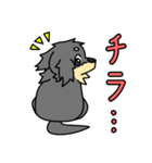 愛犬ラッシュ君のお話しスタンプ（個別スタンプ：21）