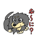 愛犬ラッシュ君のお話しスタンプ（個別スタンプ：22）