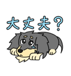 愛犬ラッシュ君のお話しスタンプ（個別スタンプ：24）