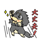 愛犬ラッシュ君のお話しスタンプ（個別スタンプ：25）