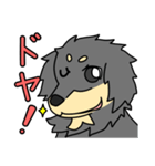 愛犬ラッシュ君のお話しスタンプ（個別スタンプ：28）