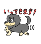 愛犬ラッシュ君のお話しスタンプ（個別スタンプ：32）