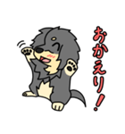 愛犬ラッシュ君のお話しスタンプ（個別スタンプ：34）