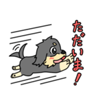 愛犬ラッシュ君のお話しスタンプ（個別スタンプ：35）