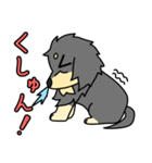 愛犬ラッシュ君のお話しスタンプ（個別スタンプ：37）